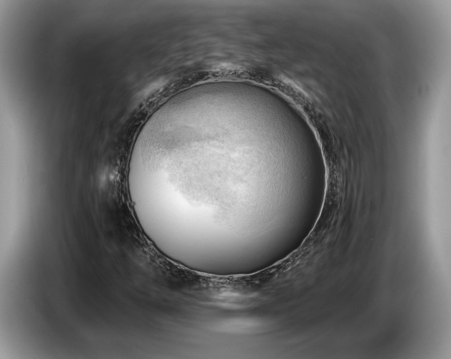 X0000087551254200704271202