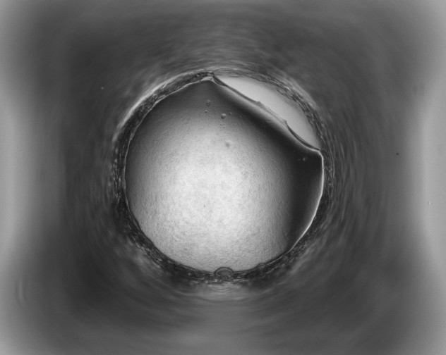 X0000087551256200704271202