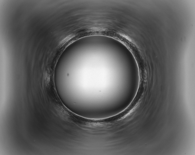 X0000087551257200704271202
