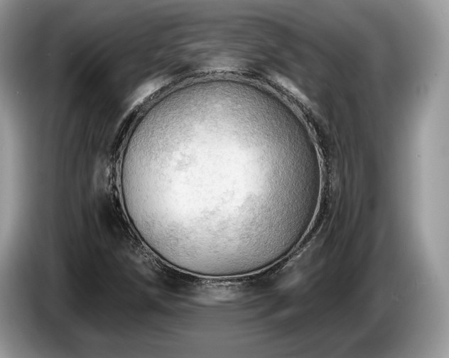 X0000087551258200704271202