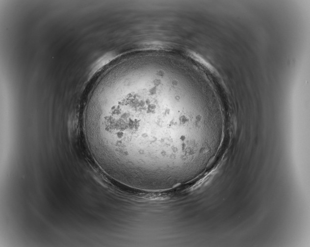 X0000087551259200704271202