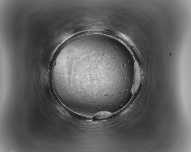 X0000087551260200704271202