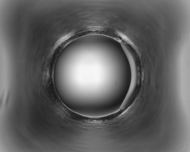 X0000087551261200704271202