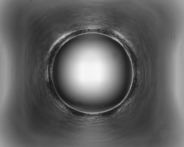 X0000087551262200704271202