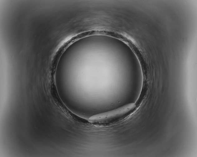 X0000087551263200704271202