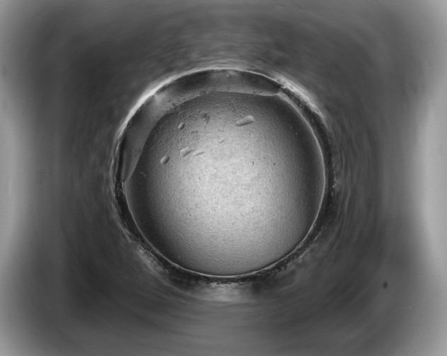 X0000087551264200704271202