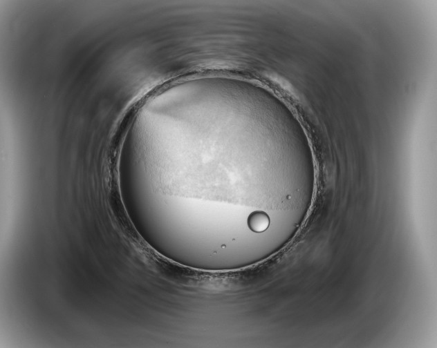 X0000087551266200704271202