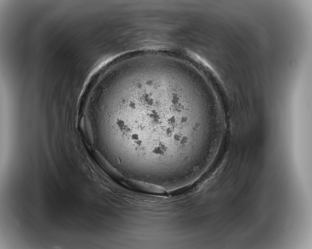 X0000087551267200704271202