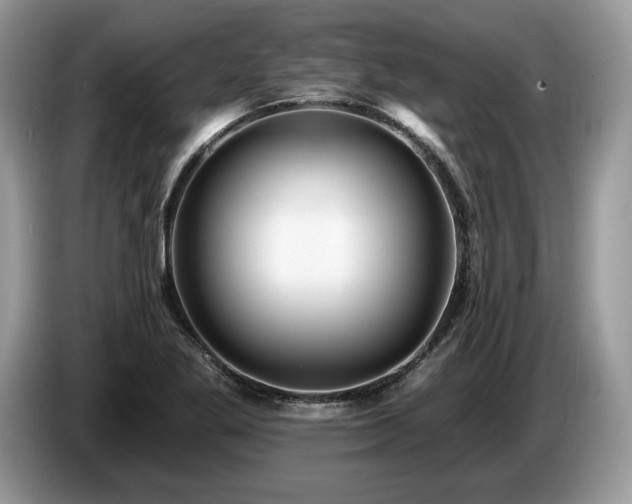 X0000087551269200704271202