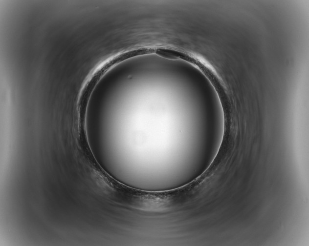 X0000087551270200704271202