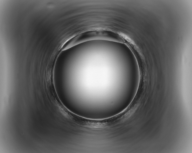 X0000087551273200704271202