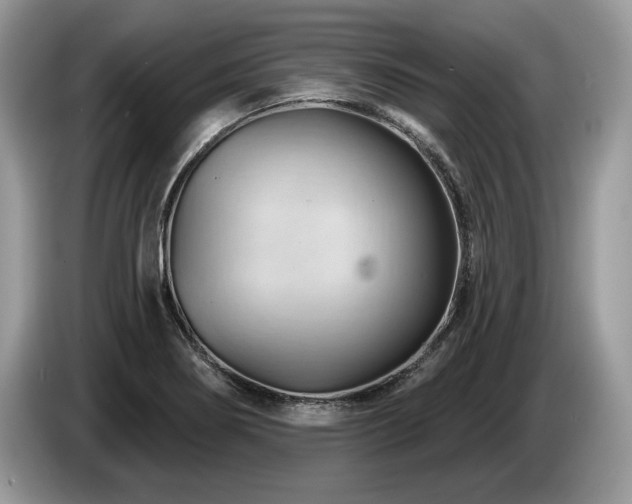 X0000087551274200704271202
