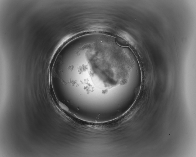 X0000087551275200704271202