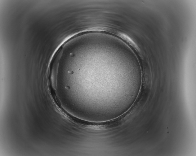 X0000087551276200704271202