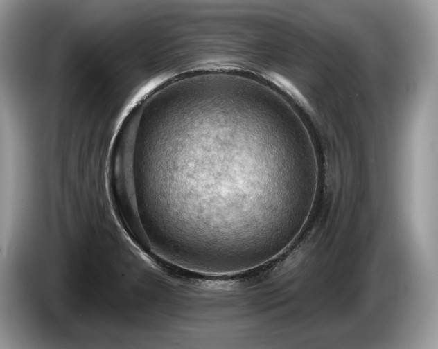 X0000087551277200704271202