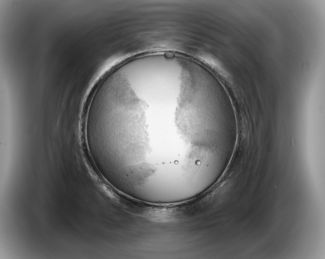X0000087551278200704271202