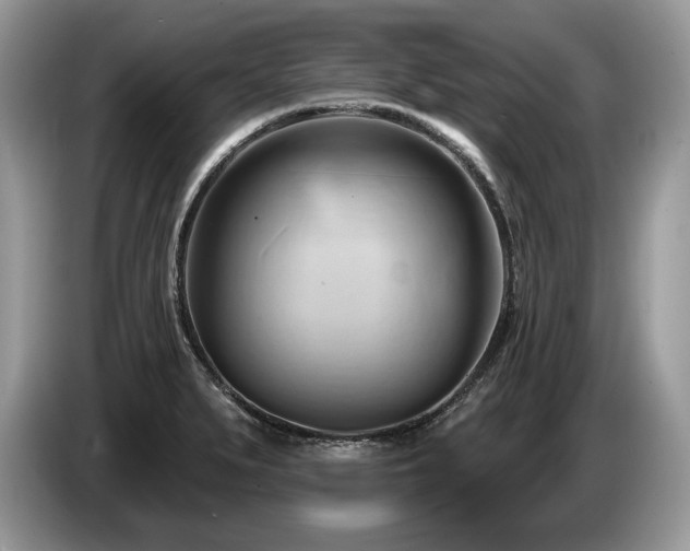 X0000087551279200704271202