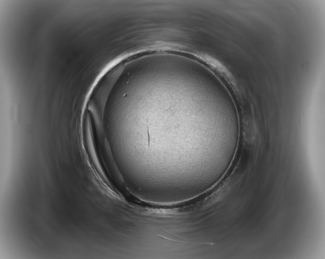 X0000087551280200704271202
