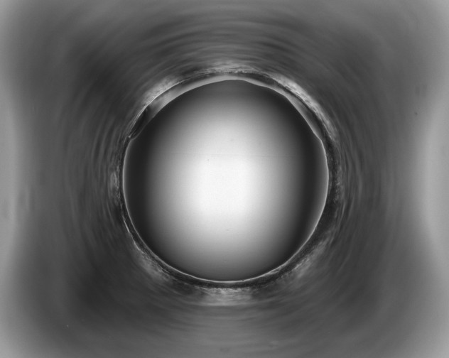 X0000087551281200704271202