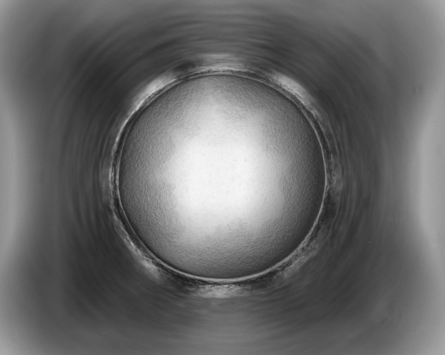 X0000087551282200704271202