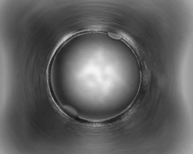 X0000087551283200704271202