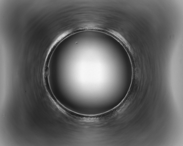 X0000087551285200704271202