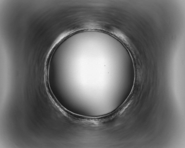 X0000087551286200704271202
