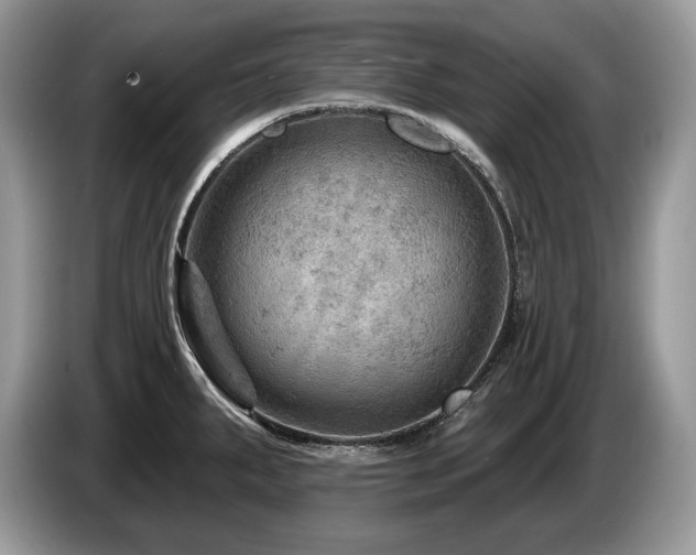 X0000087551287200704271202
