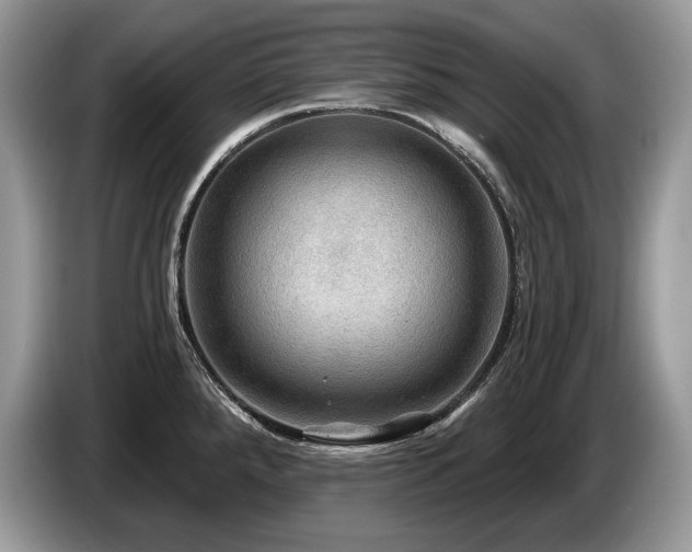 X0000087551288200704271202