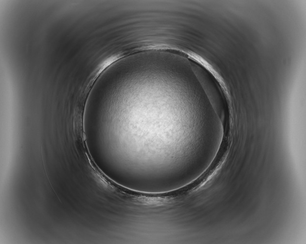 X0000087551289200704271202