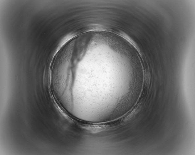 X0000087551290200704271202