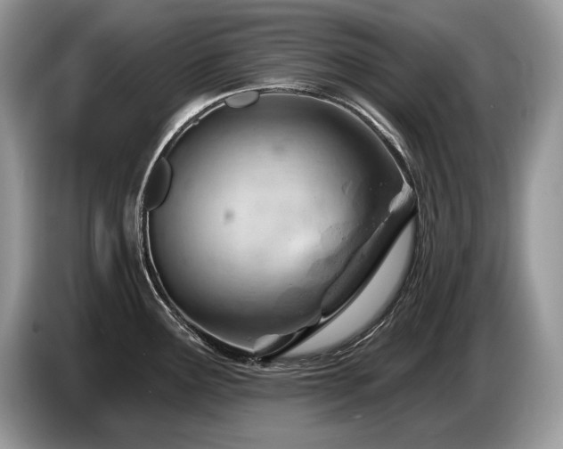 X0000087551291200704271202