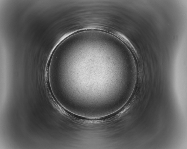 X0000087551292200704271202