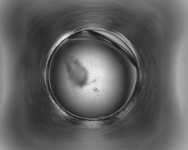 X0000087551293200704271202