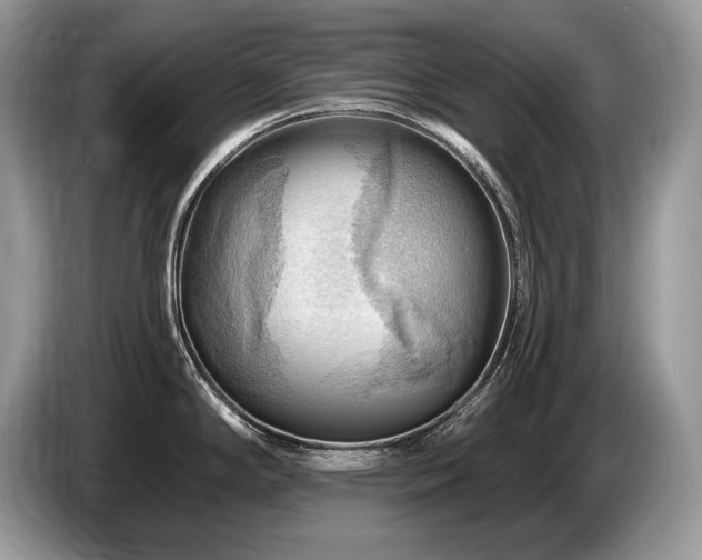 X0000087551294200704271202