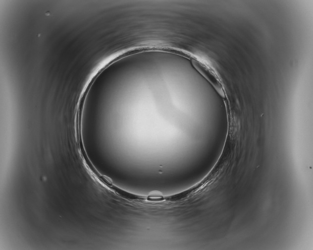 X0000087551295200704271202