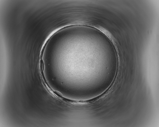 X0000087551296200704271202