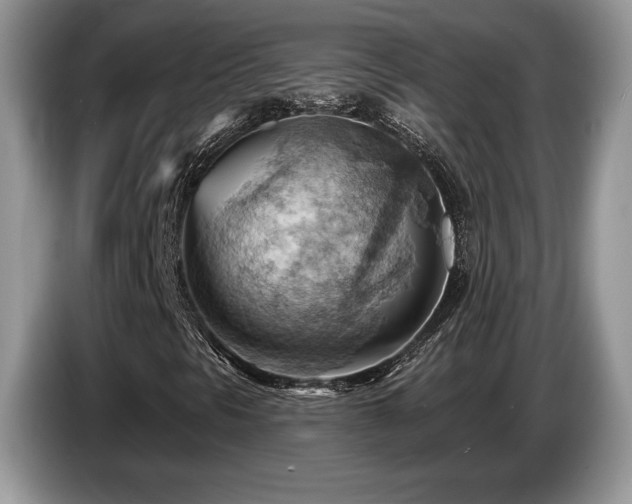 X0000087551297200704271201