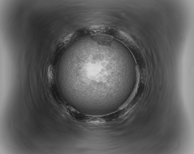 X0000087551298200704271201