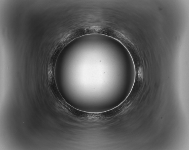 X0000087551299200704271201