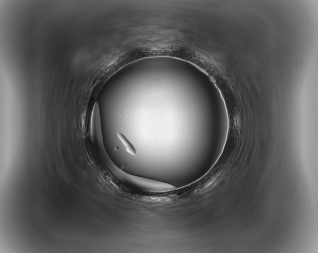 X0000087551300200704271201