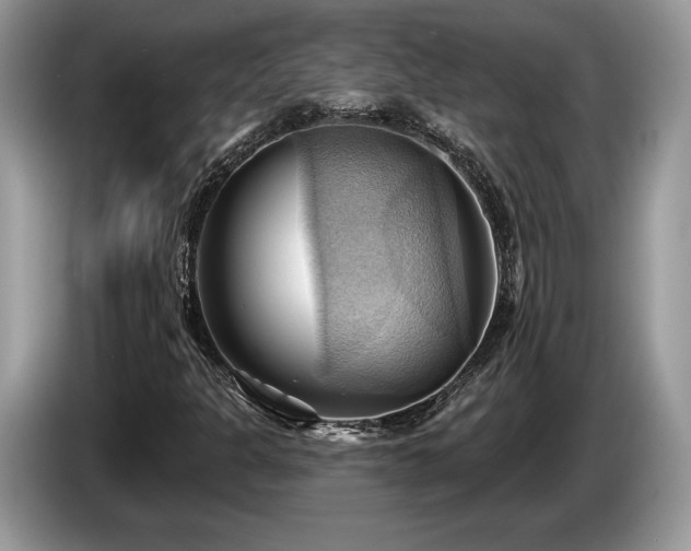 X0000087551301200704271201