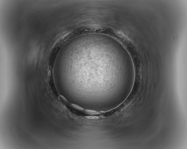 X0000087551302200704271201