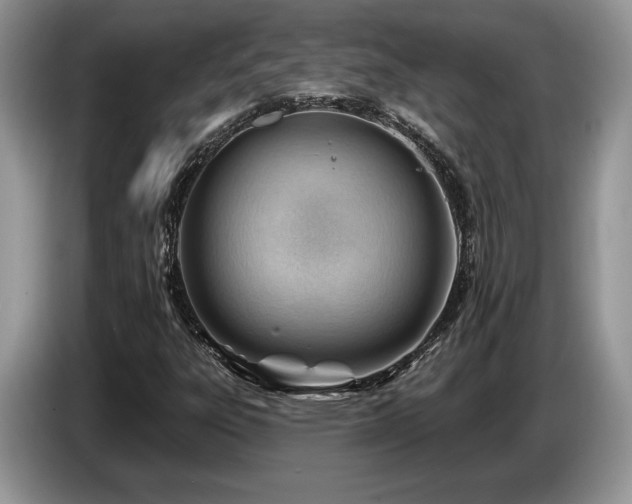 X0000087551303200704271201