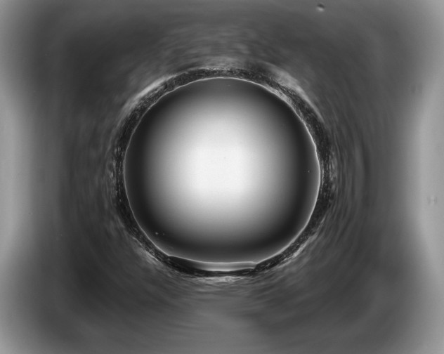 X0000087551304200704271201