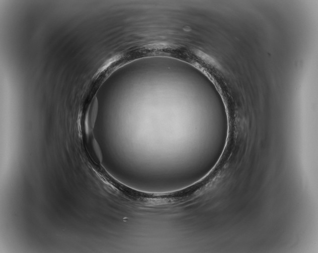 X0000087551305200704271201