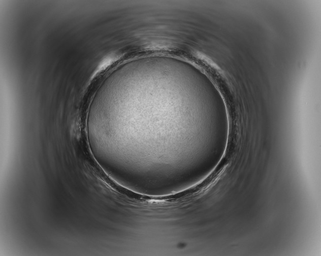 X0000087551306200704271201