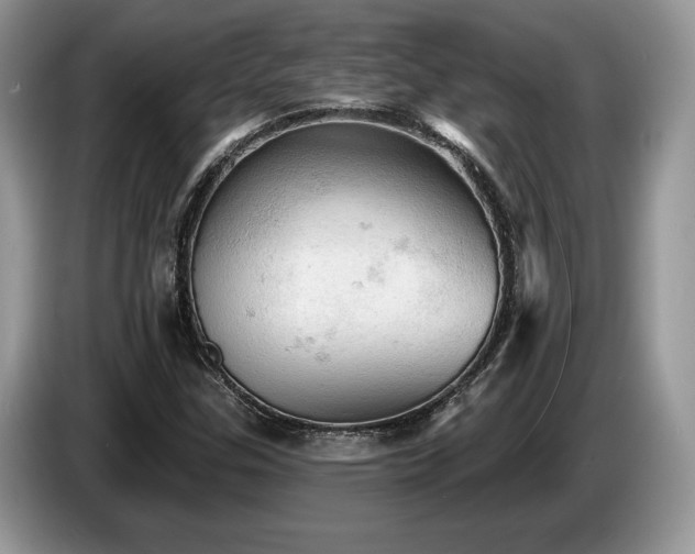 X0000087551307200704271201