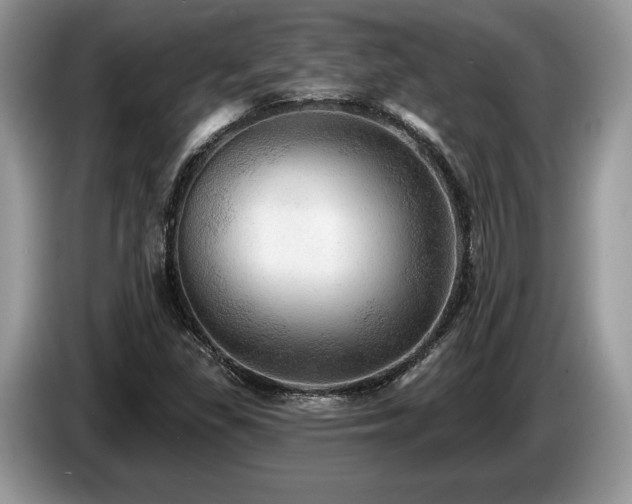 X0000087551309200704271201