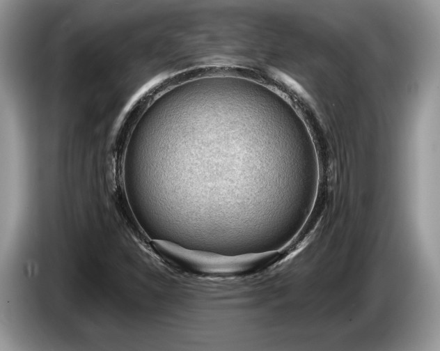X0000087551310200704271201